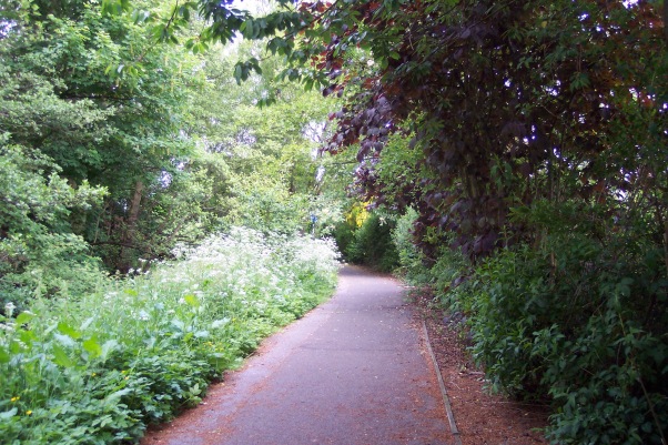 leafy cycle path